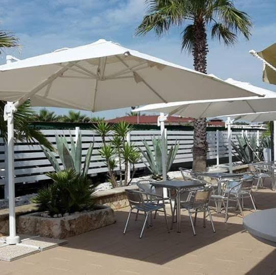 Baywatch Bed & Breakfast Маргерита ди Савоя Екстериор снимка